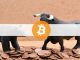 Bitcoin Bulls Are Back Following Grayscale Court Victory, But Is it Too Soon?