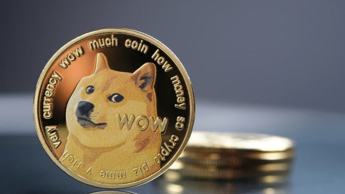 Dogecoin Pumps After Elon Musk Secures Crypto Wallet License For X
