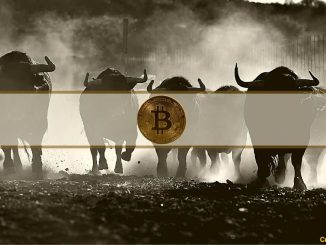 When Will Bitcoin's Bull Run Start? Analyst Chips In