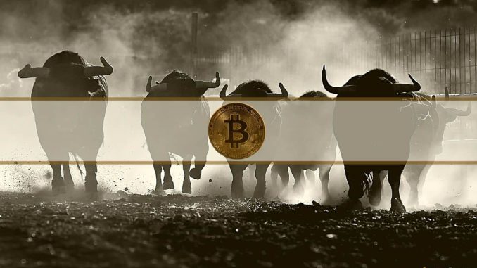 When Will Bitcoin's Bull Run Start? Analyst Chips In
