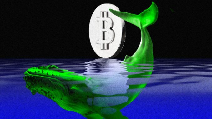 Will Whales Trigger Bitcoin (BTC) Price Rally Ahead of Fed Meeting? 