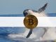 Fake BlackRock ETF News Caused This Crypto Whale To Lose Big