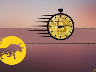 Is It Time to Buy BTC Before the Next Bitcoin Bull Run?