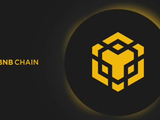 BNB Chain to drive DeFi, gaming and AI adoption in 2024