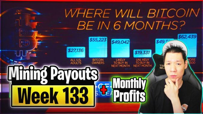 Weekly Mining Payouts 2/3/22 | Week 133