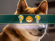 The Best Shiba Inu (SHIB) Alternatives in 2024: Meme Coin Deep Dive