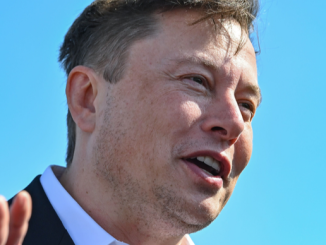 Elon Musk denies having talks with Donald Trump about crypto