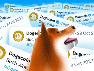 DogeChain to Cease Operations: Withdraw Dogecoin (DOGE) Now