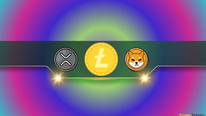 Ripple (XRP) and Shiba Inu (SHIB) are Among the Top 6 Altcoins With Most Holders: Details