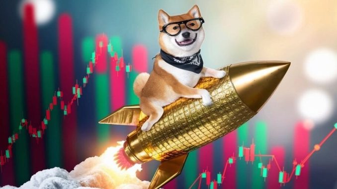 Vast Majority of Dogecoin Holders in the Money After Elon Musk Trump Pump